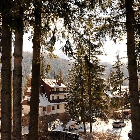 Apartament Dom Pod Skocznią Zakopane Zewnętrze zdjęcie