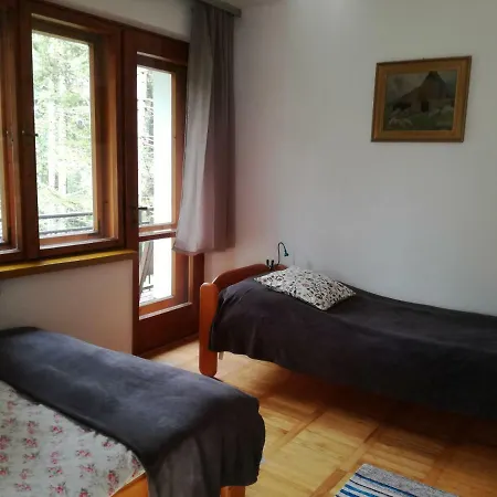 Apartament Dom Pod Skocznią Zakopane Zewnętrze zdjęcie