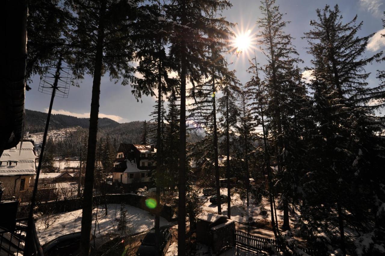 Dom Pod Skocznia Homestay Zakopane