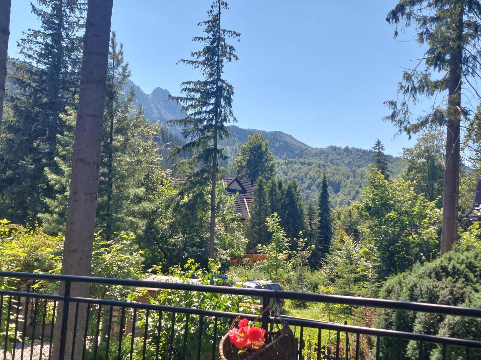Dom Pod Skocznia Homestay Zakopane
