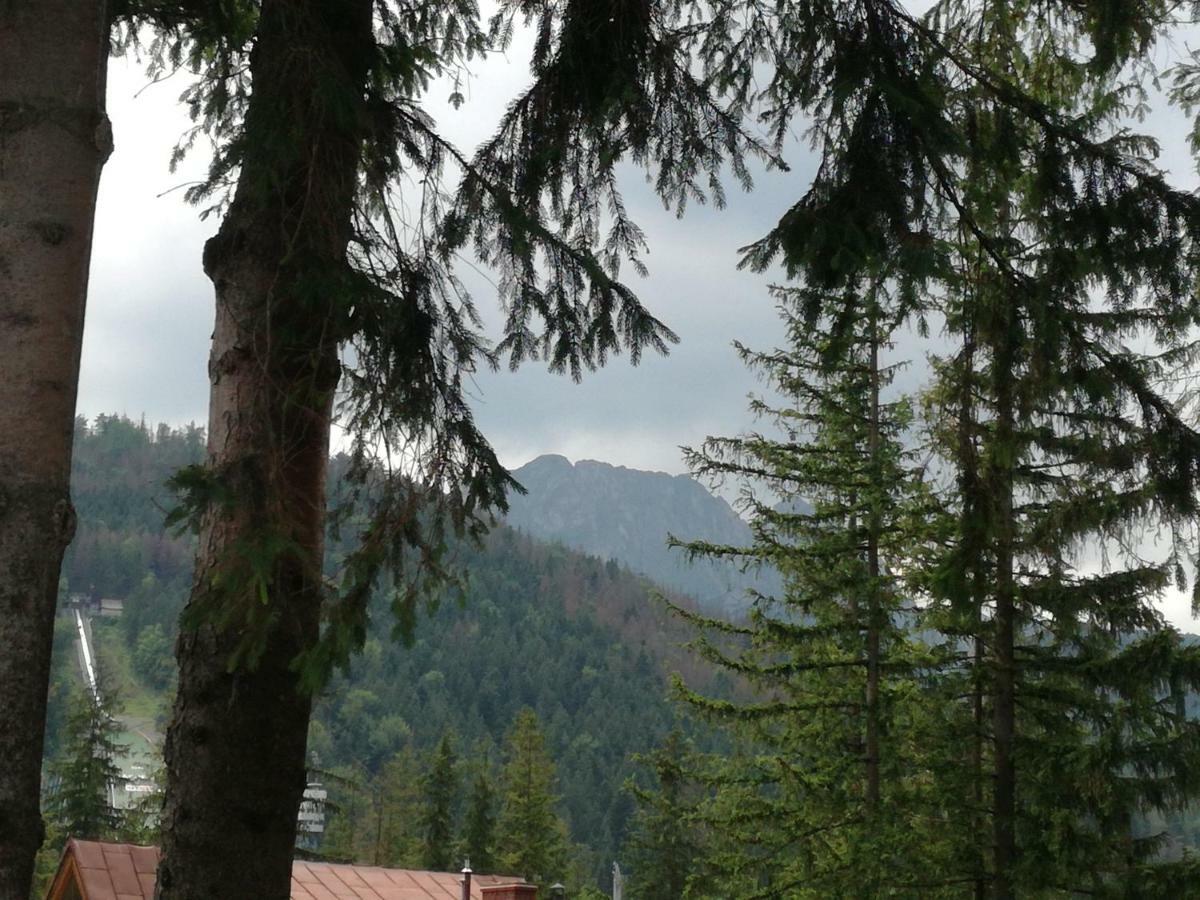 Homestay Dom Pod Skocznia Zakopane