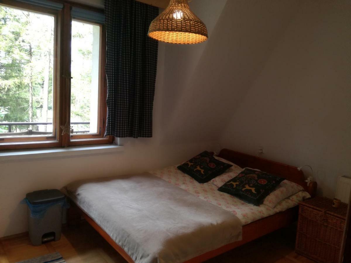 Dom Pod Skocznia Homestay *