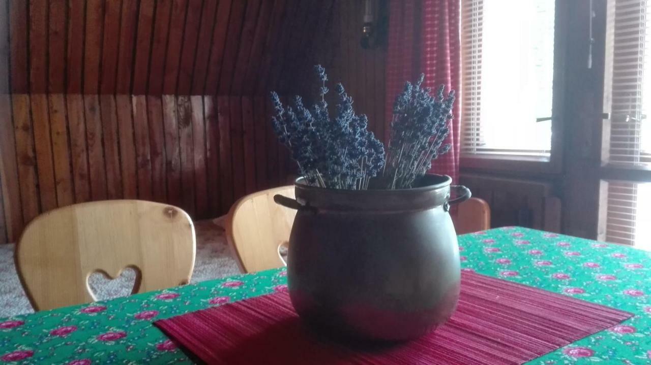 Dom Pod Skocznia Homestay *