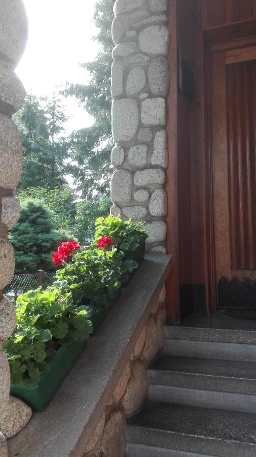 Homestay Dom Pod Skocznia Zakopane
